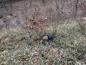 PXL_20260125_013042652