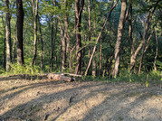 PXL_20260530_084503328
