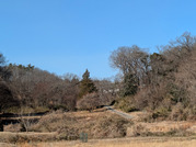 PXL_20260116_040536314