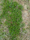 PXL_20260410_042951217