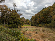 PXL_20251117_235622098