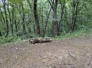 PXL_20260604_023241683