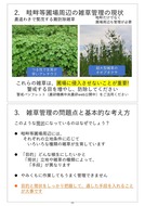 澁谷知子「畦畔等圃場周辺の省力的雑草管理に向けた課題と展望」_05