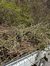 PXL_20260411_024820571