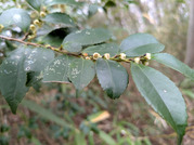 PXL_20260325_034359938