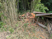 PXL_20260828_050732214