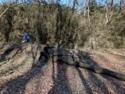 PXL_20260111_013606047