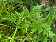 PXL_20260425_004107173