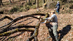 スクリーンショット (17678).png