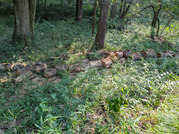 PXL_20260824_061709232