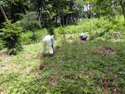 P7070013