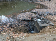 PXL_20251210_070012860