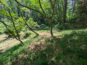PXL_20260518_015622466