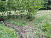 PXL_20260506_075808650