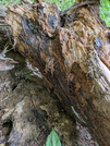 PXL_20260616_084056166