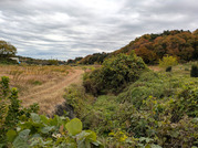 PXL_20251118_001141384