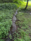 PXL_20260710_070124133