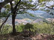 PXL_20260531_033825811