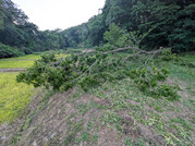 PXL_20260530_092709090