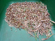 DSCN9462