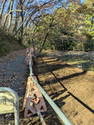 PXL_20251207_023752316