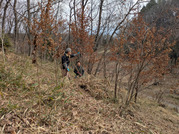 PXL_20260306_015959050