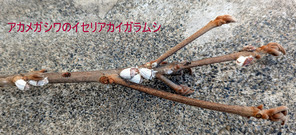 PXL_20260301_010446405