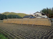 DSC09131