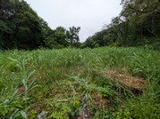 PXL_20260523_231446227