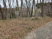 PXL_20260306_023441589