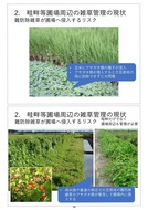 澁谷知子「畦畔等圃場周辺の省力的雑草管理に向けた課題と展望」_04