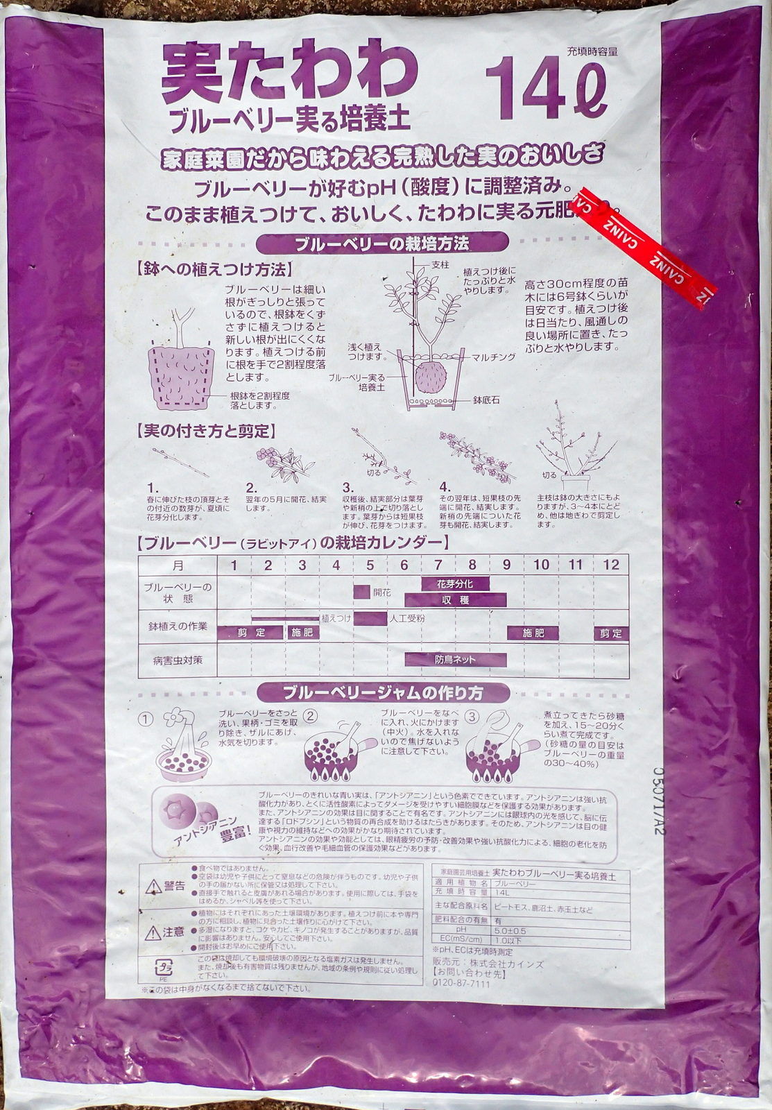 ブルーベリー鉢植え １１月２９日 岩殿満喫クラブ 岩殿 Day By Day