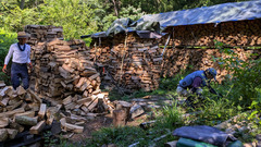 PXL_20250807_235102047