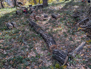 PXL_20251124_024700643