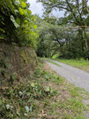 PXL_20260816_015852850