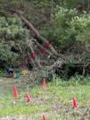 PXL_20260616_064813877