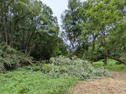 PXL_20260604_034716551