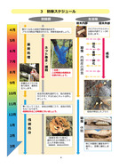 クビアカ（栃木県）_3