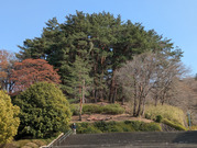PXL_20260323_051932291