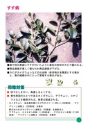 シキミ・サカキ病虫害防除救急マニュアル