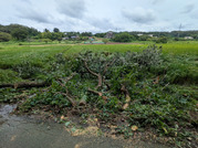 PXL_20260910_015402058