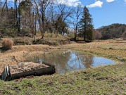 PXL_20260304_013044904