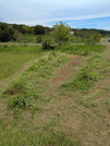 PXL_20260828_030353830