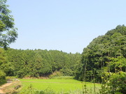 P7010052