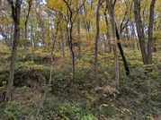 PXL_20251118_000019482