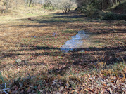 PXL_20260304_014332397