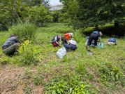 PXL_20260614_021603769