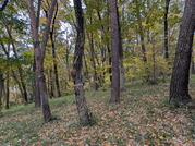 PXL_20251117_235114523