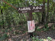 PXL_20260617_035502313