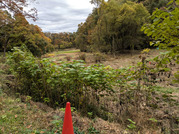 PXL_20251117_235713867